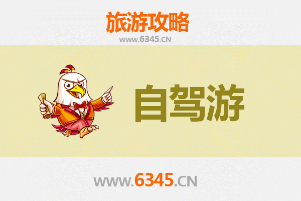 陵水本号镇自驾游全攻略：探秘雨林深处的黎乡秘境